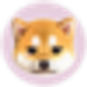 KIBSHI
