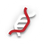 EVN