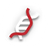 EVN