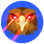 QOM
