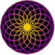 TORUS