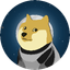 DOGE1