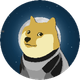 DOGE1