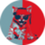 $ROAR