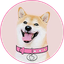 DOGEGF