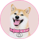 DOGEGF