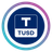 Logo of Aave TUSD v1