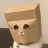 Logo of Anonymous Cat
