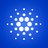 Logo of Binance-Peg Cardano
