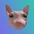 Logo of Bingus The Cat