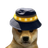 Logo of BNB DOGE