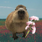 Logo of Capybara
