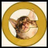 Logo of Catecoin