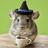 Logo of Chinchilla Haton