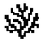 Logo of Coral Protocol