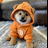 Logo of Dog (Bitcoin)