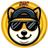 Logo of Doge Head Coin