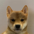 Logo of DogWifNoHat