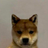 Logo of dogwifouthat