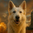 Logo of Groks Dog