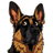 Logo of Hund