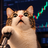 Logo of Leveraged Cat