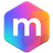 Logo of META FINANCIAL AI