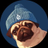 Logo of PUGWIFHAT