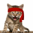 Logo of Red Kitten Crew