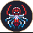 Logo of SpiderSwap