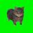 Logo of Spinning Cat