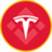 Logo of Tesla (bStocks Tokenized Stock)