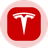 Logo of Tesla (Ondo Tokenized Stock)
