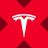 Logo of Tesla xStock