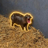 Logo of The Pygmy Hippo