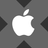 Logo of Wrapped Apple xStock