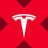 Logo of Wrapped Tesla xStock