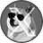 Logo of XDoge